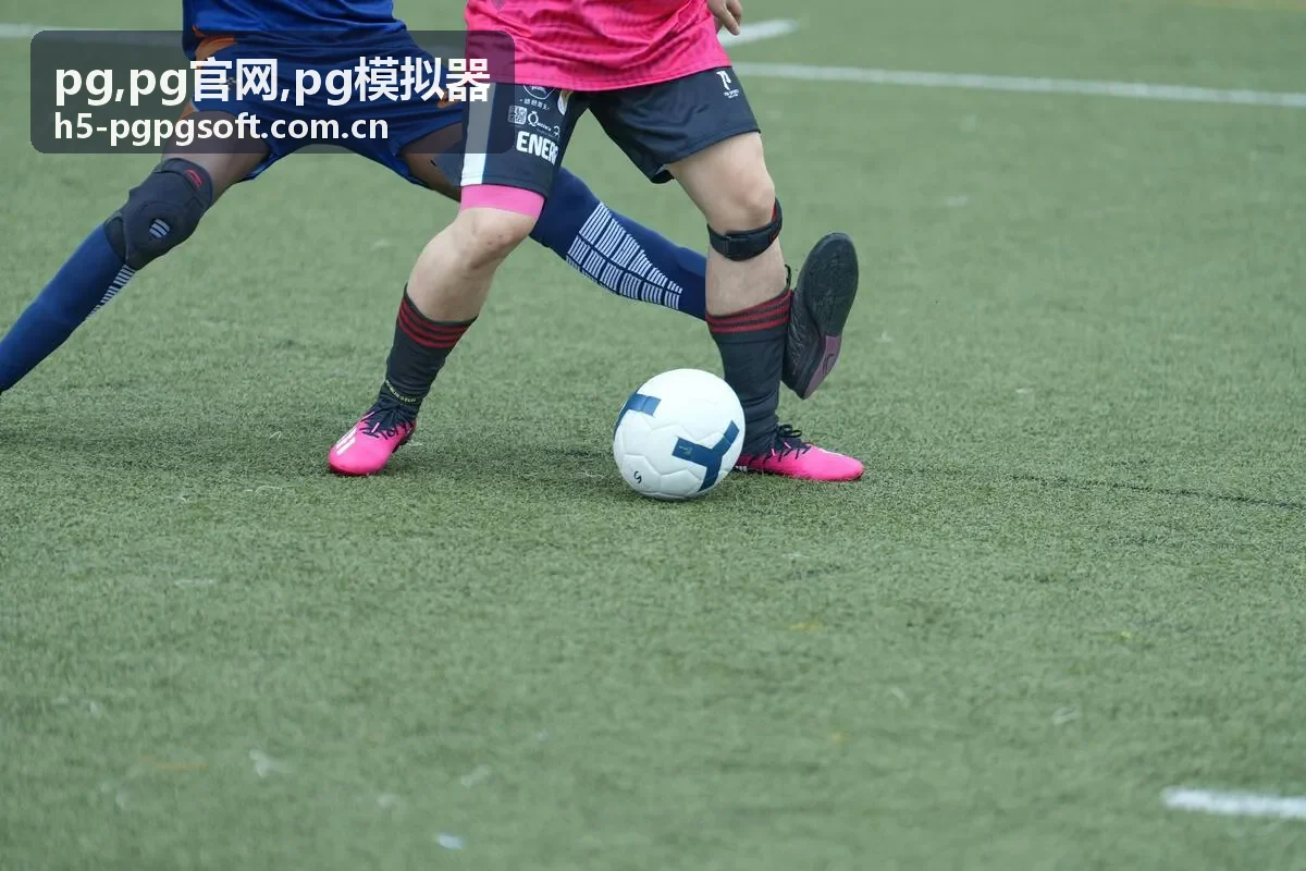 PG模拟器精准模拟示意图